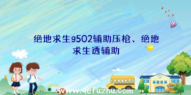 绝地求生g502辅助压枪、绝地求生透辅助