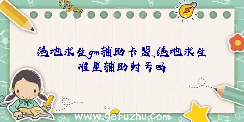 绝地求生gm辅助卡盟、绝地求生准星辅助封号吗