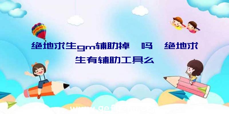 绝地求生gm辅助掉帧吗、绝地求生有辅助工具么