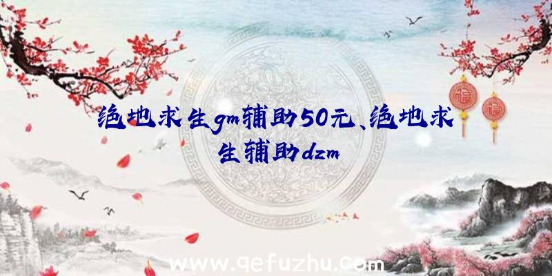 绝地求生gm辅助50元、绝地求生辅助dzm