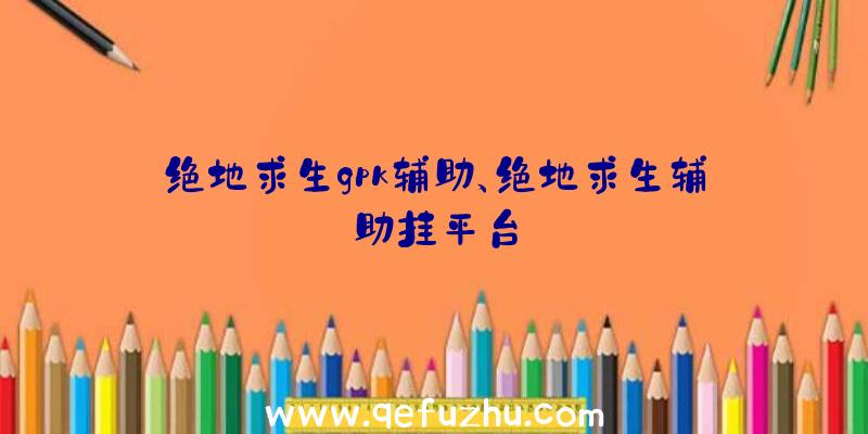 绝地求生gpk辅助、绝地求生辅助挂平台