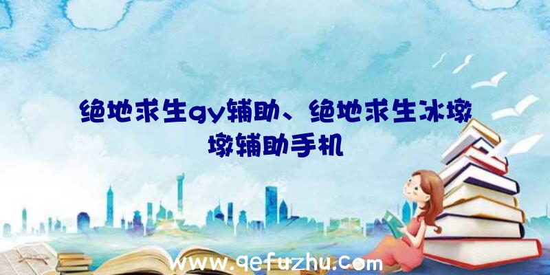 绝地求生gy辅助、绝地求生冰墩墩辅助手机