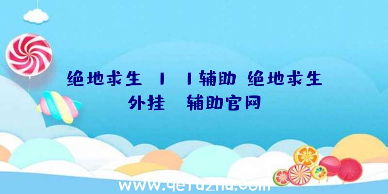 绝地求生h1z1辅助、绝地求生外挂jr辅助官网