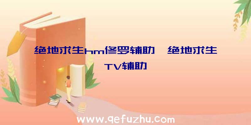 绝地求生hm修罗辅助、绝地求生TV辅助