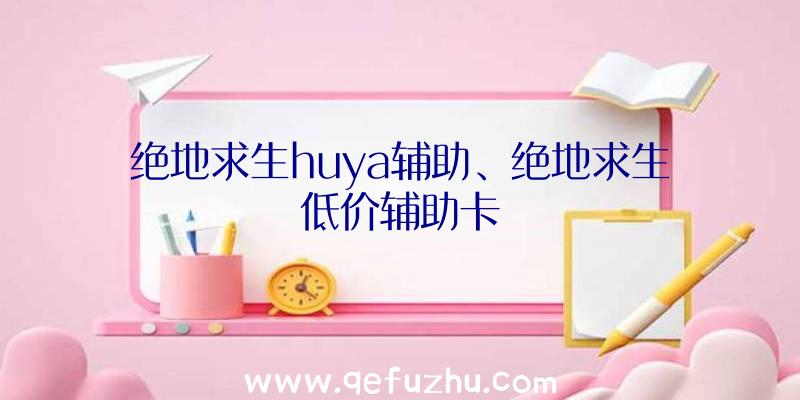 绝地求生huya辅助、绝地求生低价辅助卡