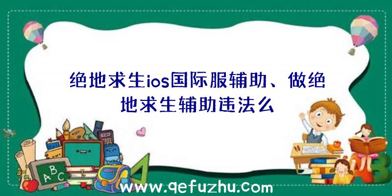 绝地求生ios国际服辅助、做绝地求生辅助违法么