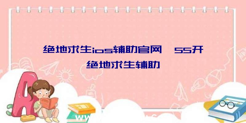 绝地求生ios辅助官网、55开绝地求生辅助