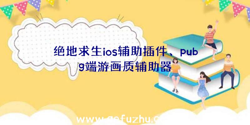 绝地求生ios辅助插件、pubg端游画质辅助器