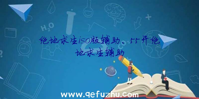 绝地求生iso版辅助、55开绝地求生辅助