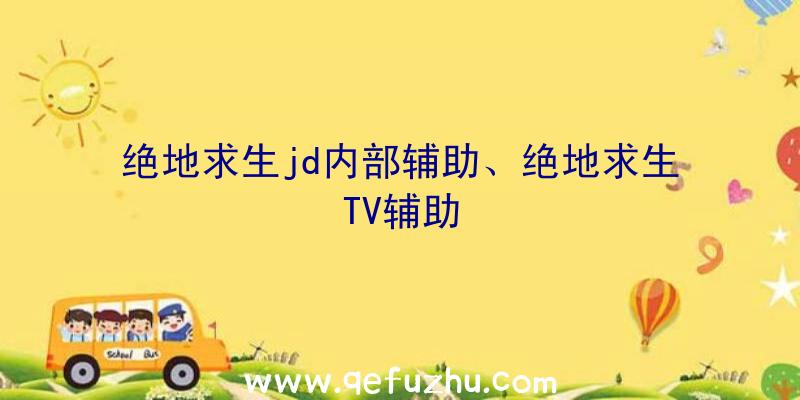 绝地求生jd内部辅助、绝地求生TV辅助