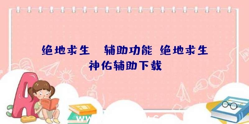 绝地求生kk辅助功能、绝地求生神佑辅助下载