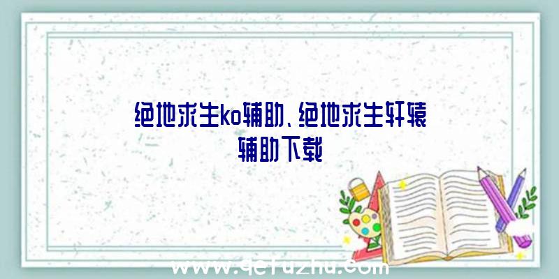 绝地求生ko辅助、绝地求生轩辕辅助下载