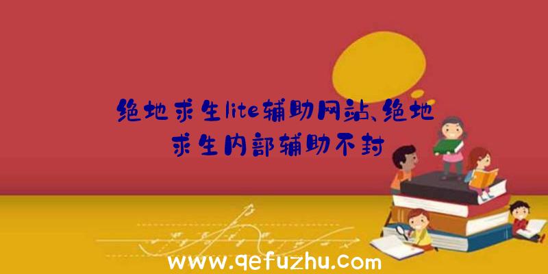 绝地求生lite辅助网站、绝地求生内部辅助不封