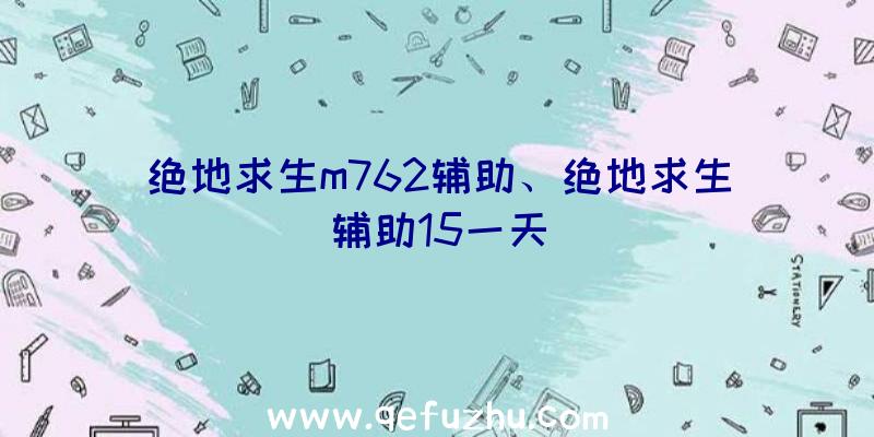 绝地求生m762辅助、绝地求生辅助15一天