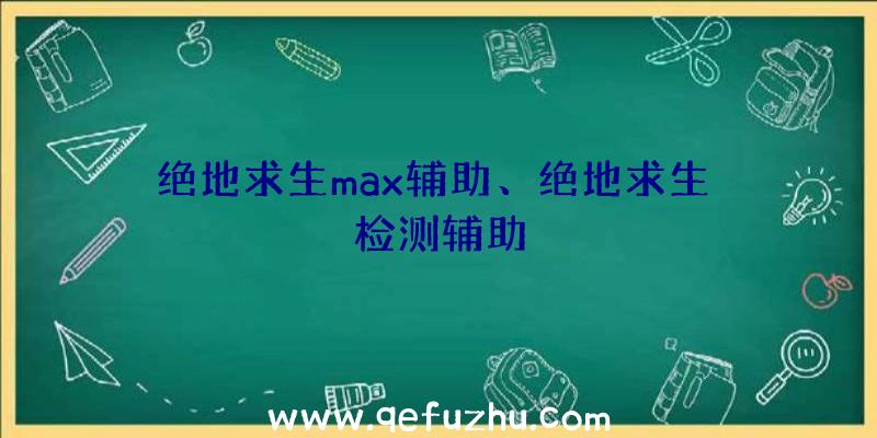 绝地求生max辅助、绝地求生