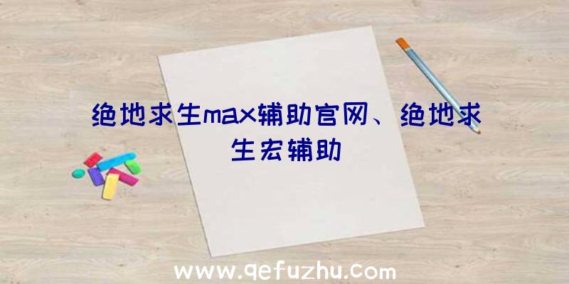 绝地求生max辅助官网、绝地求生宏辅助