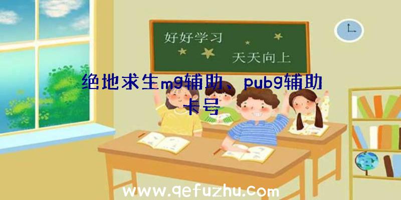 绝地求生mg辅助、pubg辅助卡号