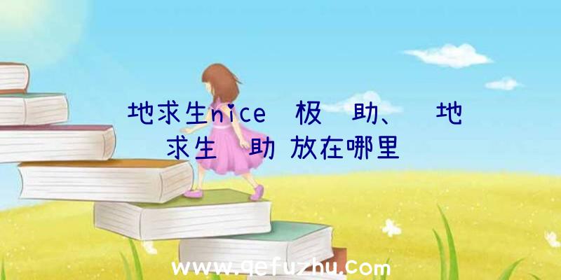 绝地求生nice终极辅助、绝地求生辅助