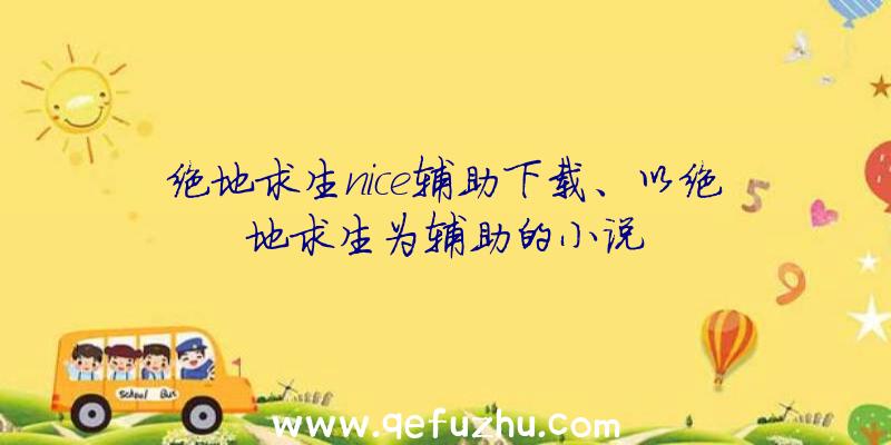 绝地求生nice辅助下载、以绝地求生为辅助的小说