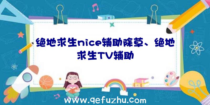 绝地求生nice辅助除草、绝地求生TV辅助