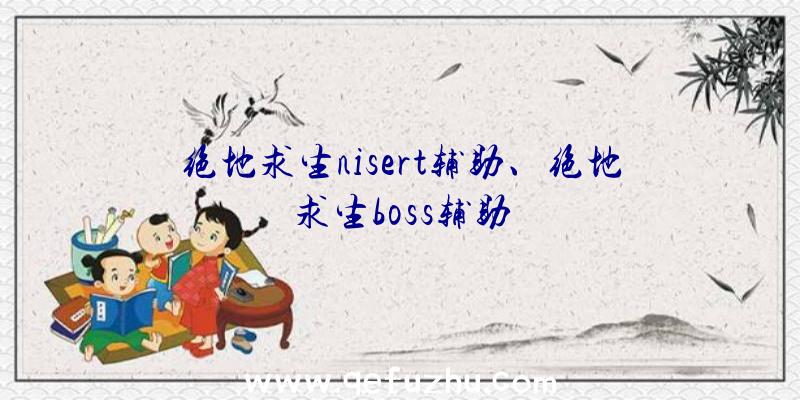 绝地求生nisert辅助、绝地求生boss辅助