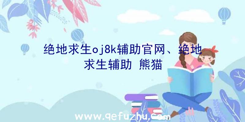 绝地求生oj8k辅助官网、绝地求生辅助