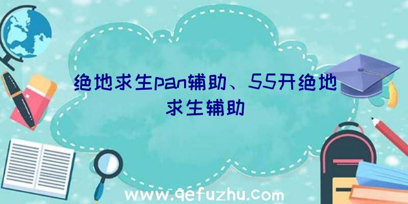 绝地求生pan辅助、55开绝地求生辅助