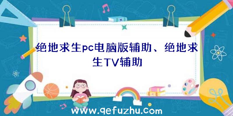 绝地求生pc电脑版辅助、绝地求生TV辅助