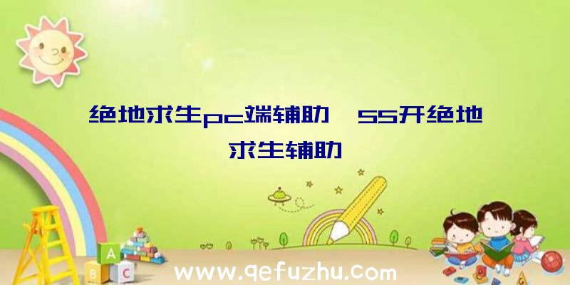 绝地求生pc端辅助、55开绝地求生辅助