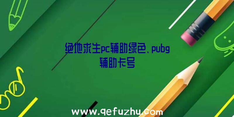 绝地求生pc辅助绿色、pubg辅助卡号