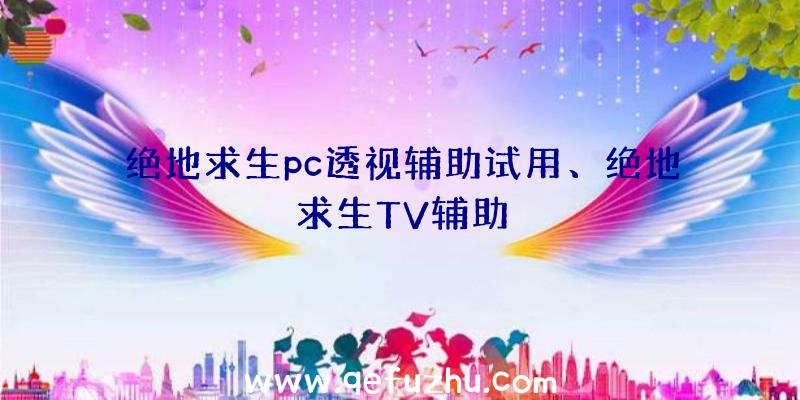 绝地求生pc透视辅助试用、绝地求生TV辅助