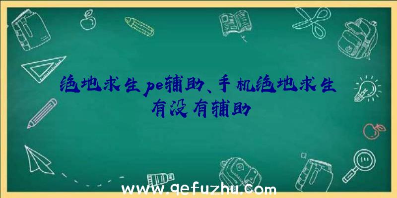 绝地求生pe辅助、手机绝地求生有没有辅助