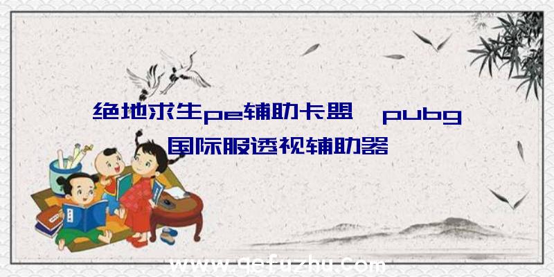 绝地求生pe辅助卡盟、pubg国际服透视辅助器