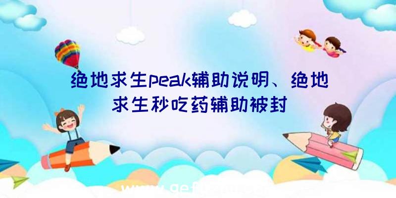 绝地求生peak辅助说明、绝地求生秒吃药辅助被封