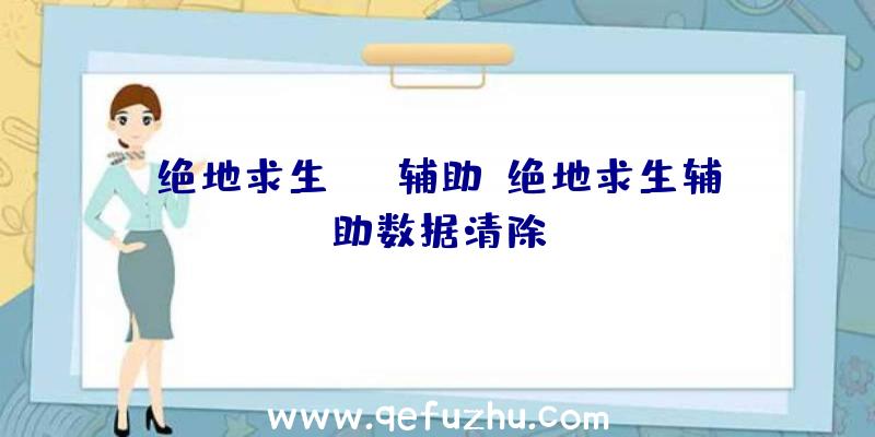 绝地求生peb辅助、绝地求生辅助数据清除