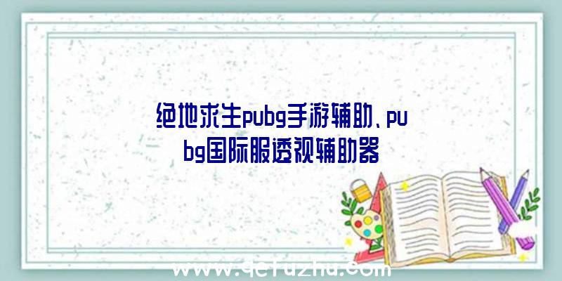 绝地求生pubg手游辅助、pubg国际服透视辅助器