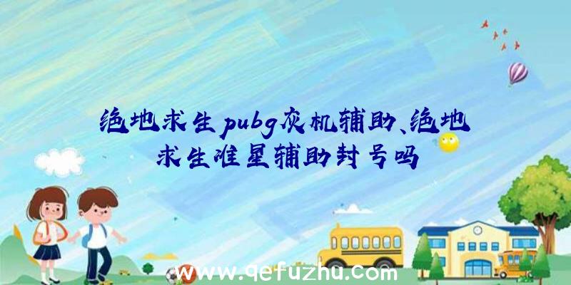 绝地求生pubg灰机辅助、绝地求生准星辅助封号吗