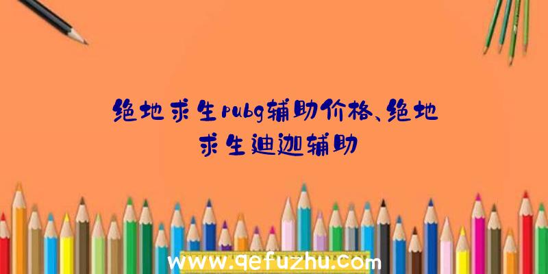 绝地求生pubg辅助价格、绝地求生迪迦辅助