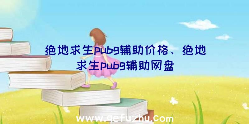 绝地求生pubg辅助价格、绝地求生pubg辅助网盘