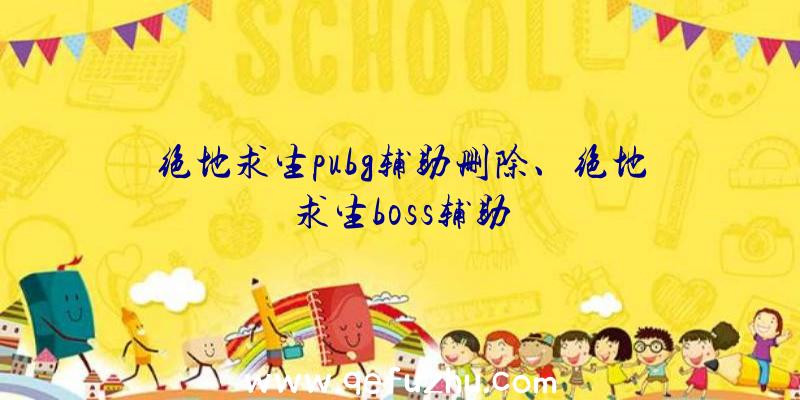 绝地求生pubg辅助删除、绝地求生boss辅助