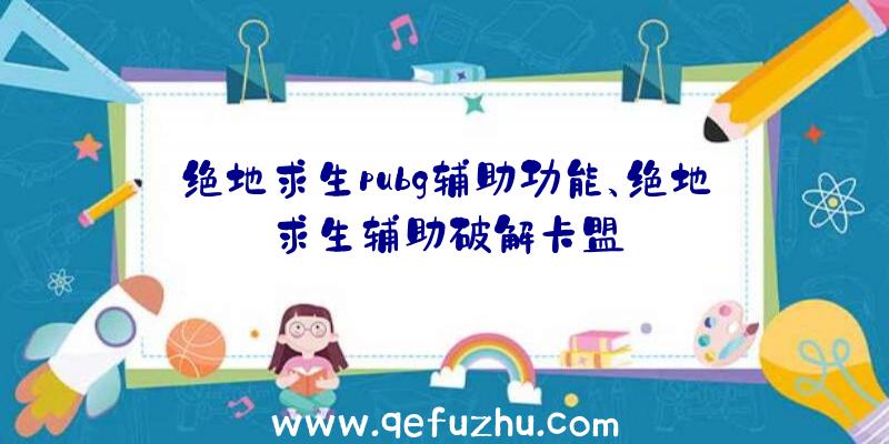 绝地求生pubg辅助功能、绝地求生辅助破解卡盟