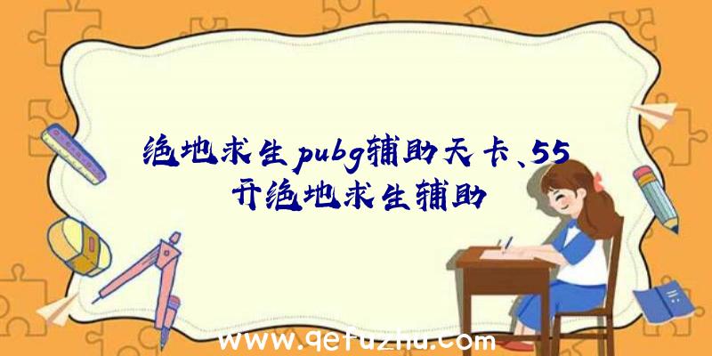 绝地求生pubg辅助天卡、55开绝地求生辅助