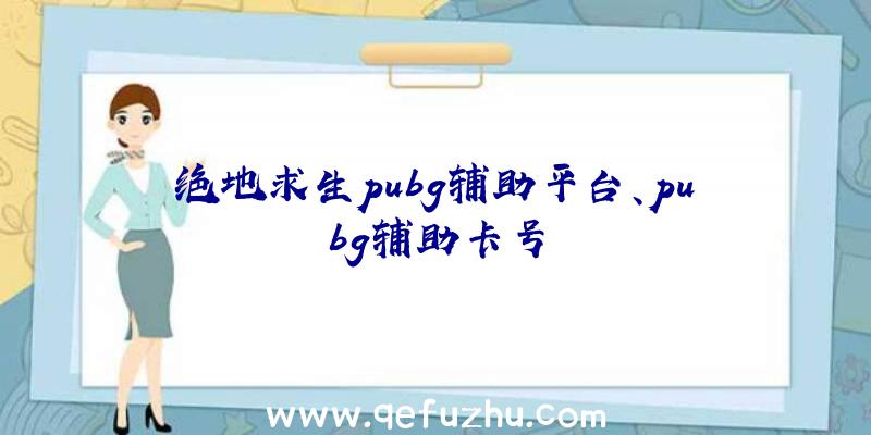 绝地求生pubg辅助平台、pubg辅助卡号