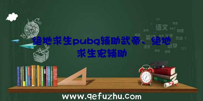 绝地求生pubg辅助武帝、绝地求生宏辅助