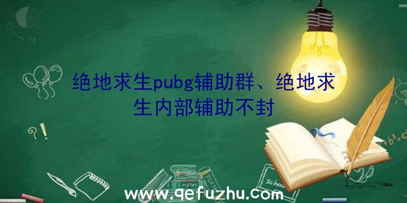 绝地求生pubg辅助群、绝地求生内部辅助不封