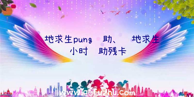 绝地求生pung辅助、绝地求生小时辅助残卡