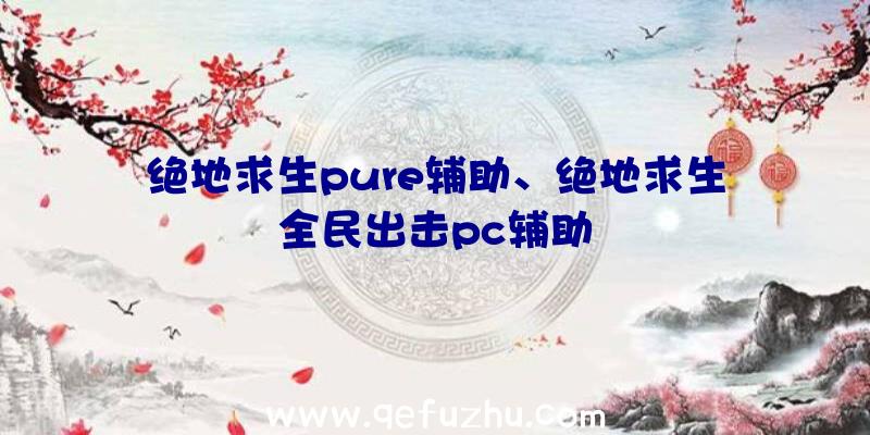 绝地求生pure辅助、绝地求生全民出击pc辅助