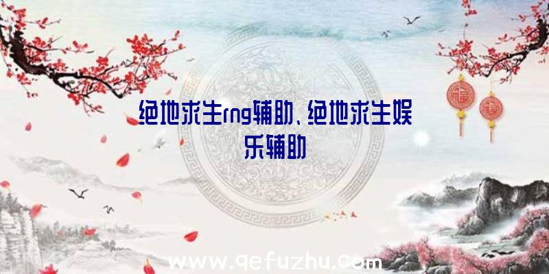 绝地求生rng辅助、绝地求生娱乐辅助