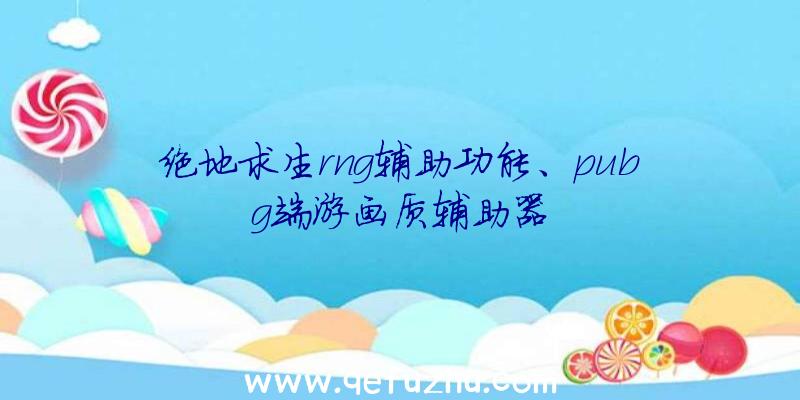 绝地求生rng辅助功能、pubg端游画质辅助器