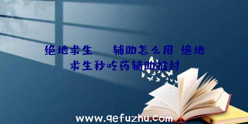 绝地求生rng辅助怎么用、绝地求生秒吃药辅助被封